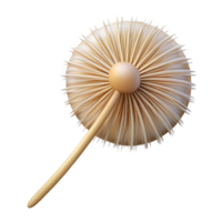 serene rustic Single dandelion seed head authentic png