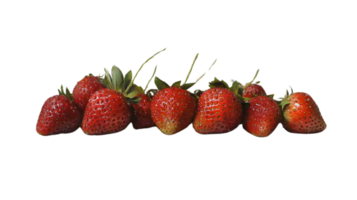 Fresh Red Berries in a Row on Black Background HighQuality Food Photography for Recipes Menu png