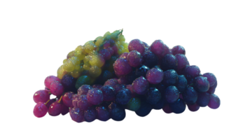 Vibrant Multicolored Grapes with Dew Drops Perfect for Culinary and Artistic Designs png
