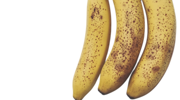 Three Ripe Bananas with Brown Spots Isolated on Black Background for Culinary and Health Concep png