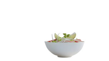 Fresh and Healthy Salad in a White Bowl with Citrus Garnish png