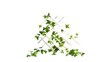 A lattice trellis adorned with lush green leaves perfect for garden design and decorative purp png