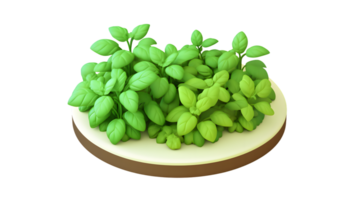 Fresh Green Herbs on a Wooden Base for Culinary and Decorative Purposes png