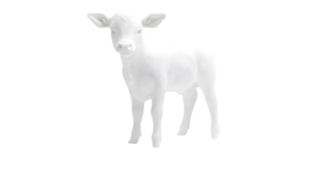 White Calf Animal Studio Shot Isolated on Black Background png