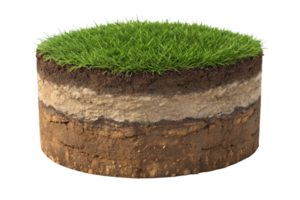 Cross Section of Soil Layers Showing Topsoil Organic Matter Subsoil and Bedrock with Lush Green Grass png
