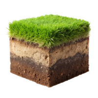 A Cross Section of Soil Layers Showing Grass and Earth png
