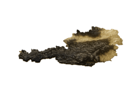 Austria Map Golden Metallic Texture Map Gold Reserves And Gold Mining Concept 3D Illustration png