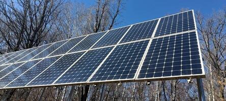 Solar panels are positioned to capture sunlight in a forested location, providing clean energy. The clear blue sky above enhances the setting, indicating early spring photo