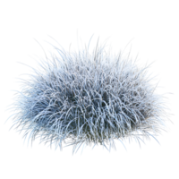 Grass Blanketed With Snow On Transparent on transparent background png