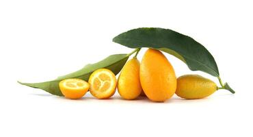 Fresh kumquats with leaves showing slices on white background photo
