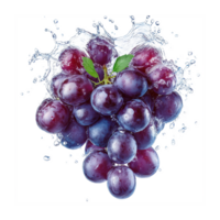 Grape in Stylish Water Splash Effect Isolated on Transparent Background png