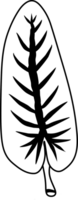 An artistic black and white outline of a leaf displaying veins for design purposes. Suitable for educational, artistic, and decorative uses in manuals, creative projects, or as a template for coloring png