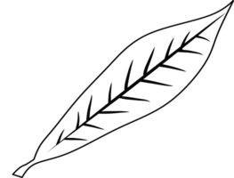 An artistic black and white outline of a leaf displaying veins for design purposes. Suitable for educational, artistic, and decorative uses in manuals, creative projects, or as a template png