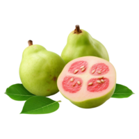 Guava fruits and slices isolated on clear background png