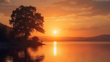 There is a beautiful sunset on the lake with a tree in the foreground. photo