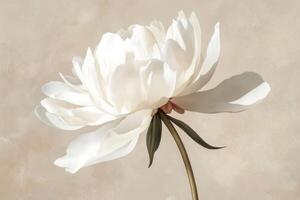 A painting of a white flower on a beige background photo