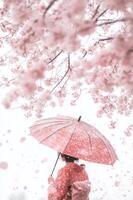 A woman in a kimono is holding an umbrella under a tree photo