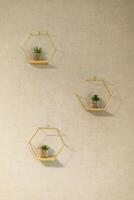 Decorative wall planters with succulents create a fresh atmosphere in a minimalist interior design setting photo