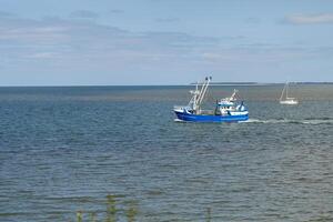 A fishing boat navigates the calm waters near the shore, with a sailboat in the background on a clear sunny day photo
