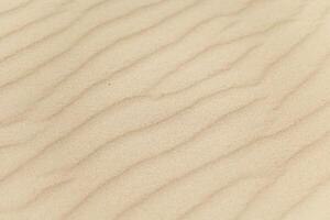 Patterns of soft, beige sand in a serene desert landscape captured in bright daylight, showcasing natural texture and movement photo