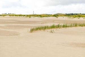Tranquil sandy beach with gentle grass swaying in the breeze near a lighthouse under a cloudy sky on a cool day photo