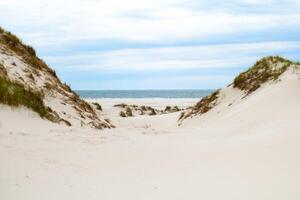 A tranquil pathway through sand dunes leads to a serene beach under a cloudy sky in early morning light photo