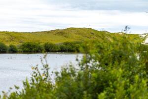 Calm water reflects green hills under a cloudy sky in a serene natural setting near the coast in summer photo
