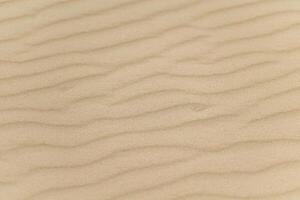 Patterns of soft sand dunes with gentle ripples in the afternoon sunlight on a warm summer day photo
