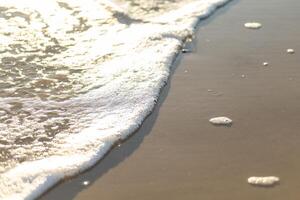 Gentle waves lap against a sunlit beach, capturing moments of tranquility at golden hour by the shoreline photo
