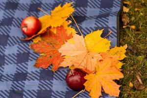 Colorful autumn leaves and red apples arranged on a checkered blanket during a picnic in the park on a sunny day photo