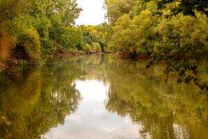 Serene river surrounded by lush green trees on a calm day photo
