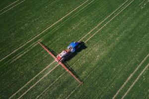 Blue tractor working in agricultural field, aerial view. Tractor spraying crop field with fertilize or pesticide for good harvest photo