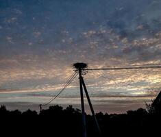 Stork nest on top of an electric pole at sunset. Peaceful rural landscape with dramatic cloudy sky and soft evening light in the background. photo