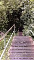 Rusty metal stairs descending into a forest full of greenery. A quiet, peaceful path ideal for nature-themed projects, hiking concepts or backgrounds with perspective. photo