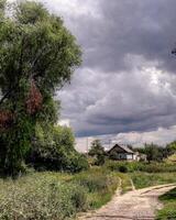 Atmospheric photo of a quiet countryside scene with an old wooden house, overgrown greenery, and a winding dirt road under a dramatic cloudy sky. Ideal for nature, travel, and rustic lifestyle themes.