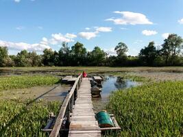 A woman in a red jacket sits at the end of an old wooden pier surrounded by green wetland vegetation under a bright blue sky with scattered white clouds. Tranquil nature scene. photo