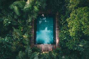 Lush tropical oasis featuring a serene swimming pool surrounded by dense greenery at a secluded location photo