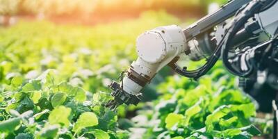 Innovative robotic arm tending to crops in a vibrant green agricultural field during sunset photo