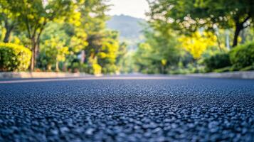 Quiet tree-lined road in a serene neighborhood surrounded by nature during golden hour photo