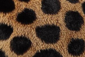 Close-up view of leopard fur showcasing distinct patterns and textures in natural habitat environment photo