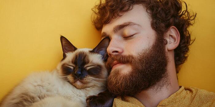 Cozy moment shared between a man and his cat against a bright yellow backdrop in a relaxed indoor setting photo