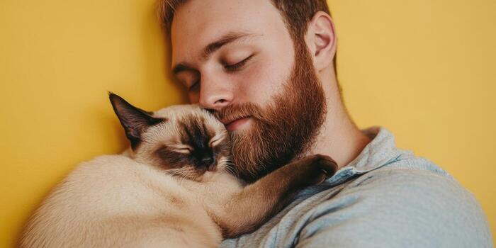 Man relaxes while holding a sleeping cat against a bright yellow wall photo