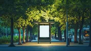 Bus shelter illuminated by soft evening light in a tree-lined urban area creates a calm atmosphere for waiting passengers photo