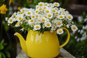 Bright yellow kettle filled with fresh daisies in a vibrant garden setting during spring afternoon photo