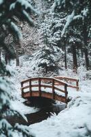 Snow-covered bridge over a serene lake surrounded by a lush forest in winter photo