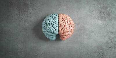 Split human brain illustration showcasing creative and analytical thinking on a textured background photo