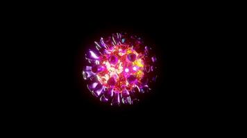 Bacterium shimmering in different colors close-up photo