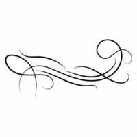 flourish swirls elements elegant vector