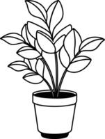 indoor Plant line art design black and white vector