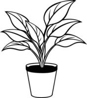 a plant in a pot is shown in black and white vector